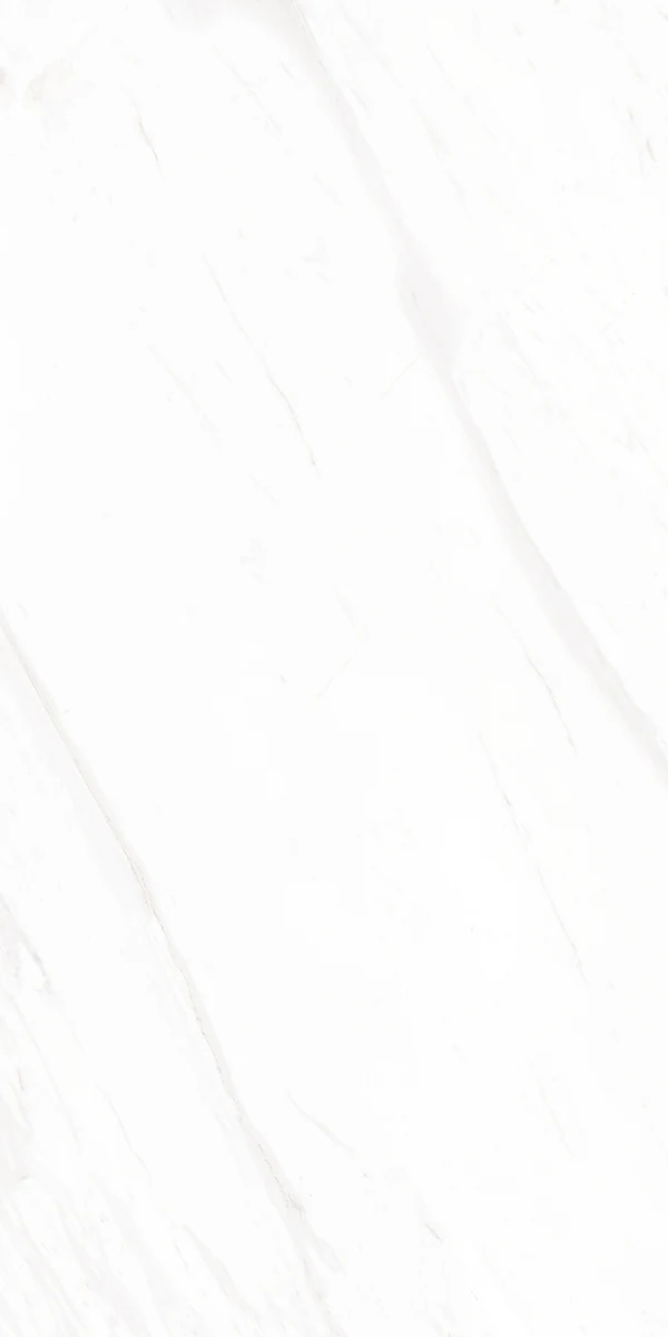 Mặt gạch BM-B61201P1 — góc 2 — 600x1200mm